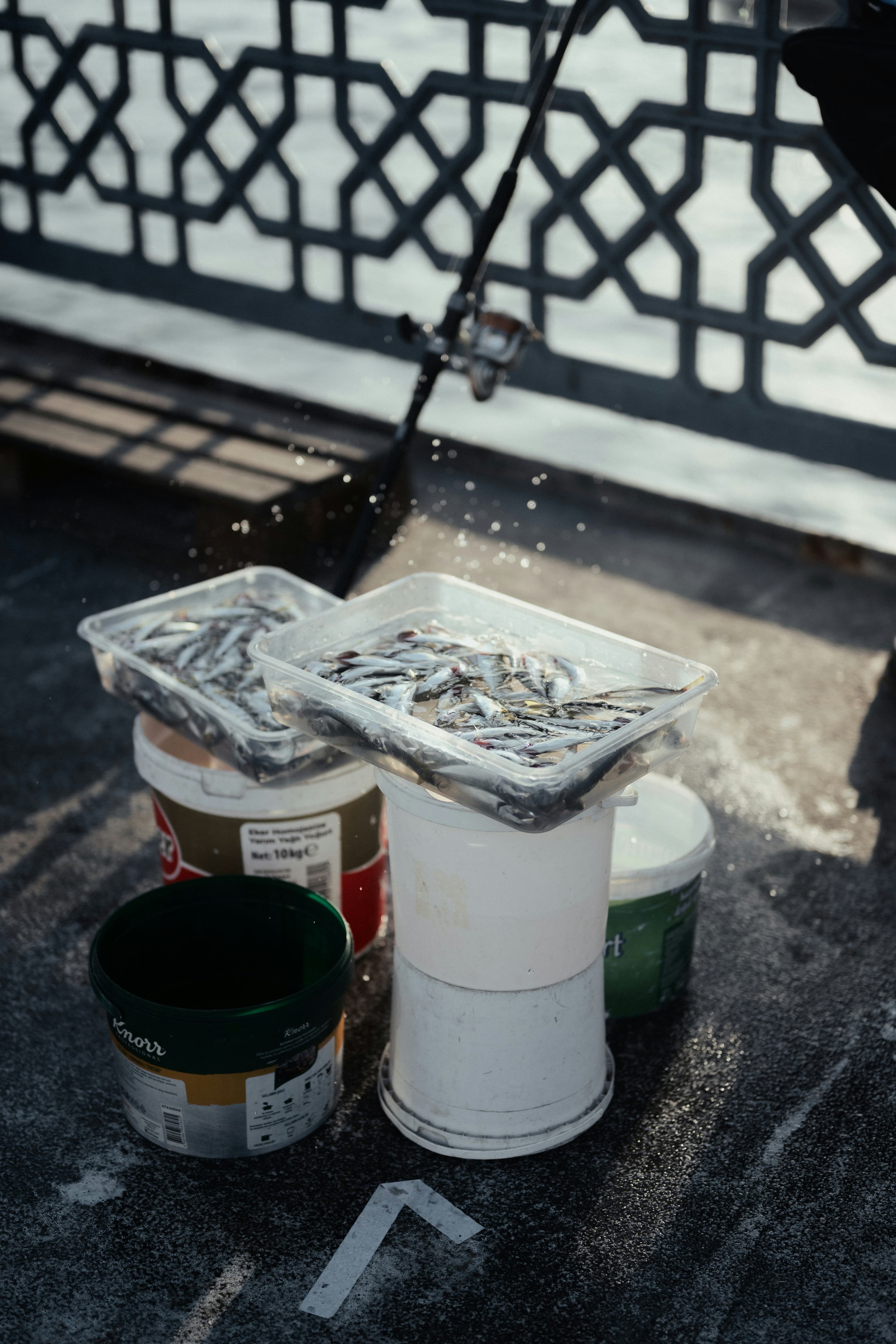 Sodium Hexametaphosphate: Detergent Builder to Water Treatment Sequestrant