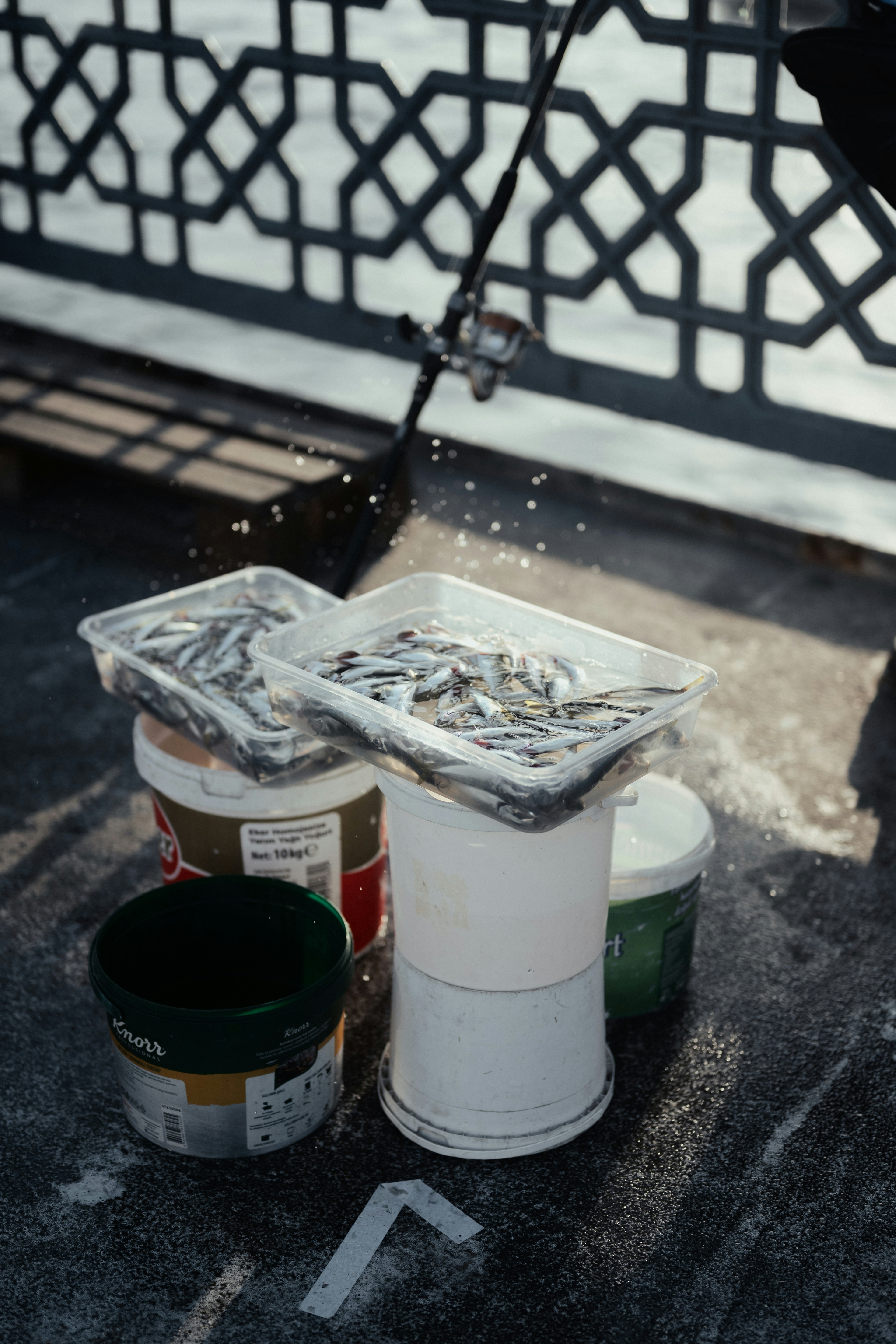 Sodium Hexametaphosphate: Detergent Builder to Water Treatment Sequestrant