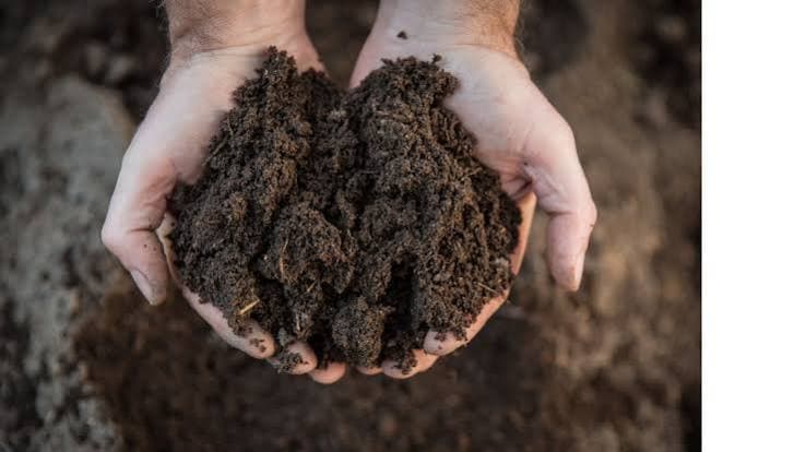 Biosolids as Fertilizer: Why Nearly 60% of Sewage Sludge Still Gets Land-Applied